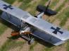 Pfalz D.III