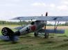 Pfalz D.III