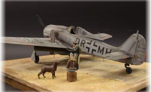 Galerie: Fw 190 F-8 (V75)