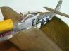 North American P-51D Mustang &quot;early version&quot;
