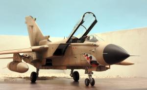 Galerie: Panavia Tornado GR.1 "MiG Eater"