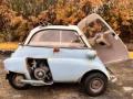 BMW Isetta (1:4 Eigenbau)