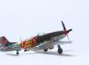 Race Mustang P-51D #44 &quot;Jelly Belly&quot;