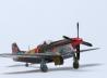 Race Mustang P-51D #44 &quot;Jelly Belly&quot;