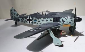 Galerie: Fw 190 A-8 mit BV Hagelkorn