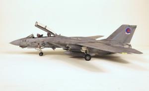 Galerie: Grumman F-14A Tomcat