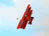 Fokker Dr.I vs Sopwith F.1 Camel