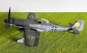 Galerie: Focke-Wulf Fw 190 D-11