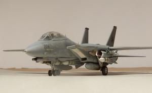 Galerie: Grumman F-14D