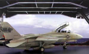 Galerie: F-14A