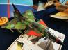 30. Modellbau-Ausstellung des PMC Saar 13.10.2024 - Teil 1