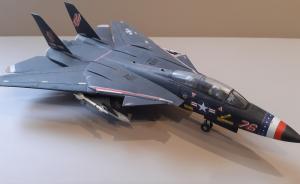 Grumman F-14A Black Tomcat