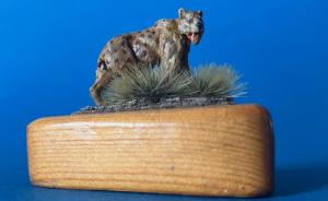 Galerie: Smilodon populator