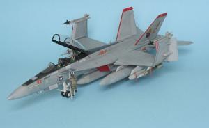 Galerie: Boeing F/A-18F Super Hornet