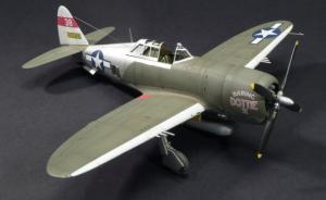 Galerie: Republic P-47D-3-RA Thunderbolt