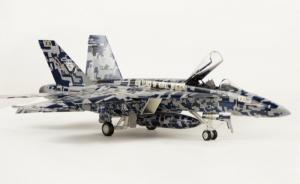 Galerie: Boeing F/A-18E Super Hornet
