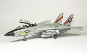 Bausatz: Grumman F-14A Tomcat