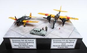 Drohnenkontrollflugzeuge der US Navy