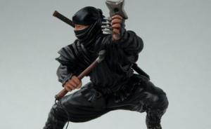: Ninja