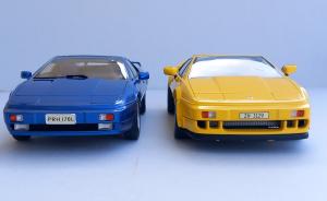 Galerie: Der doppelte Lotus