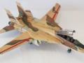 Grumman F-14 Tomcat (1:72 Hasegawa)