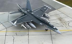 Galerie: Boeing EA-18G Growler