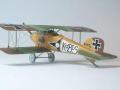 Albatros D.II (1:72 Roden)