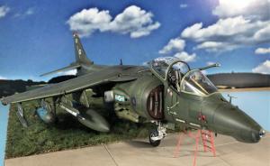 Bausatz: BAe Harrier GR.5
