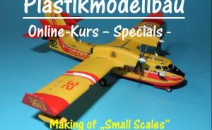 Galerie: Small Scales