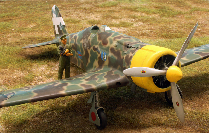 Fiat G.50 Freccia