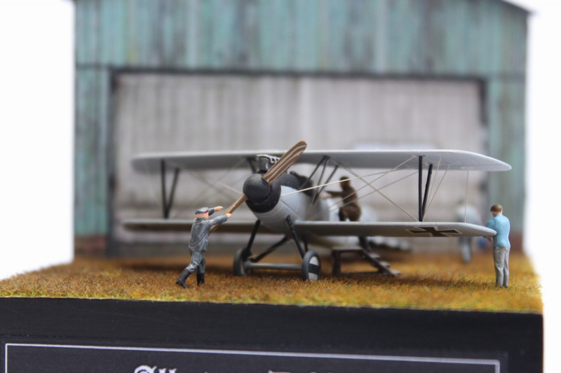 Albatros D.V