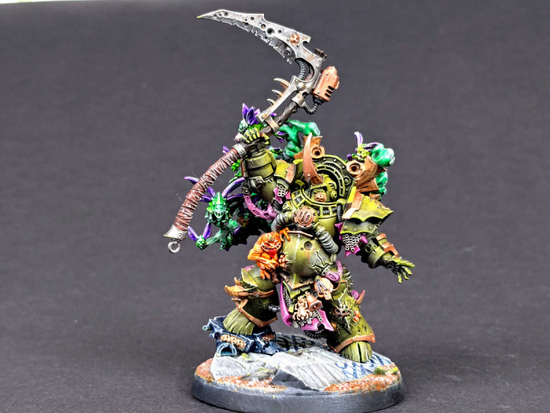 Typhus