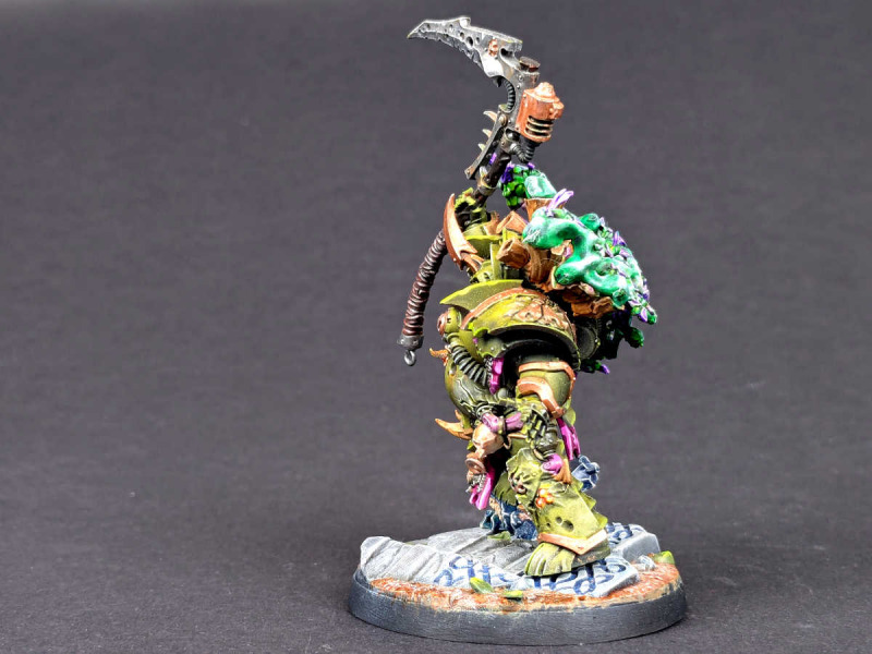 Typhus