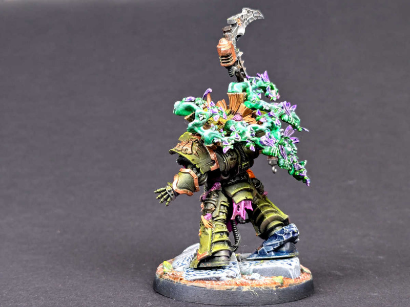 Typhus