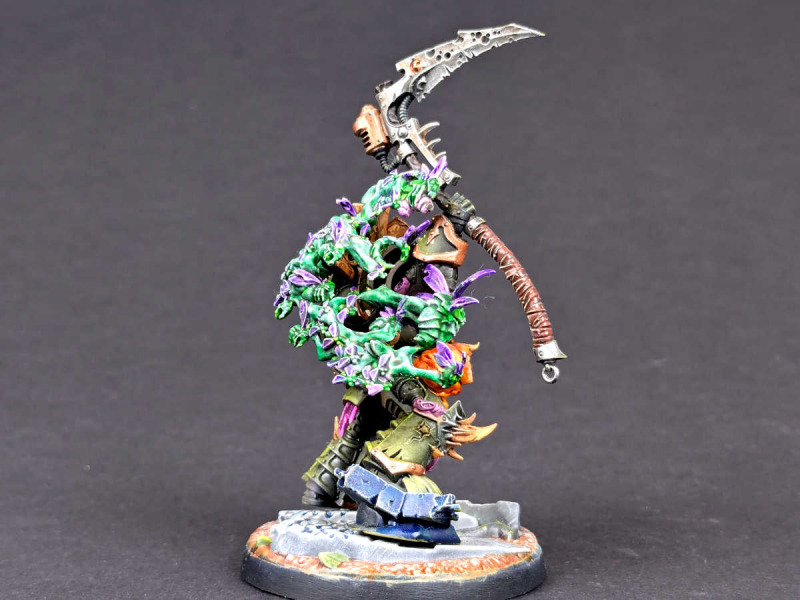 Typhus
