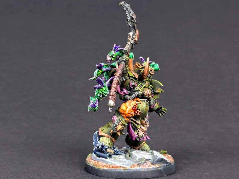 Typhus