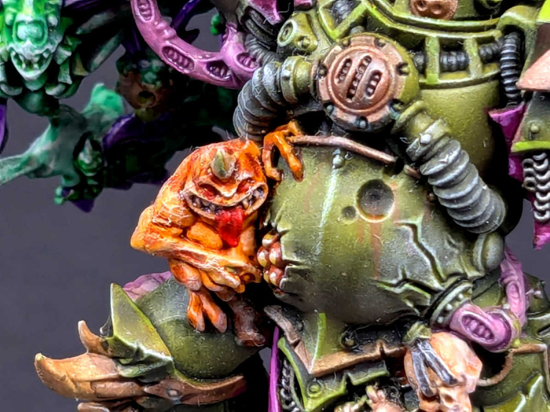 Typhus