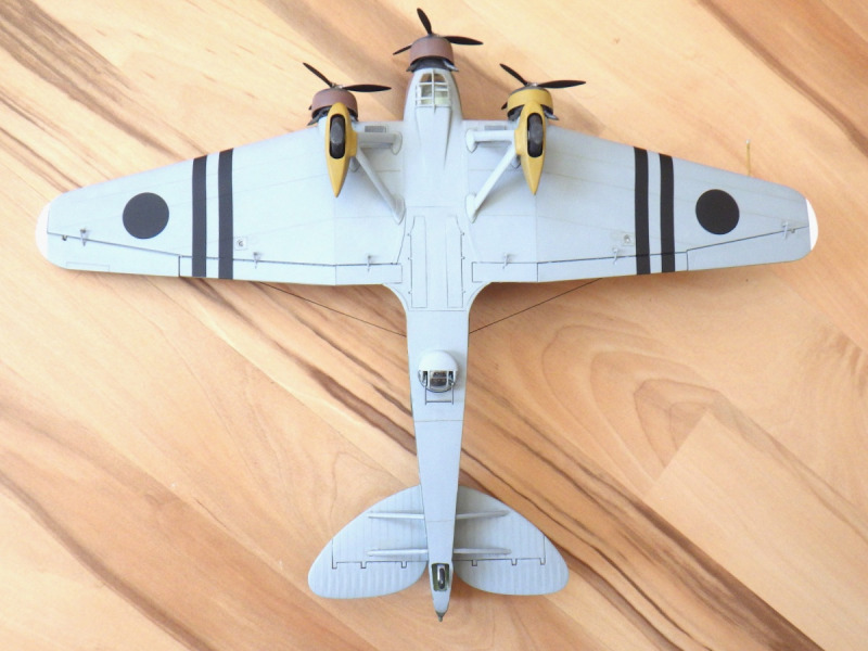Savoia-Marchetti SM.81 "Pipistrello"