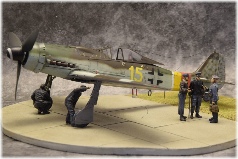 Focke-Wulf 190D-9