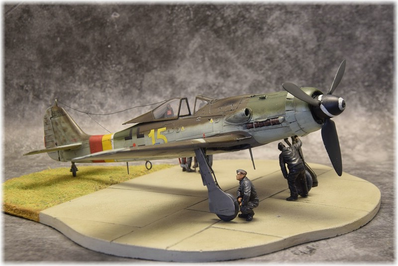 Focke-Wulf 190D-9