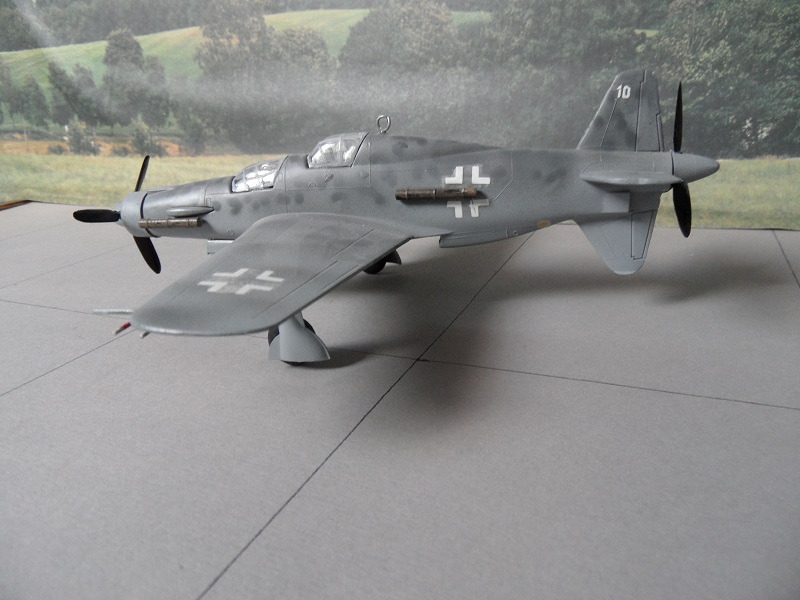Dornier Do 335 A-6 "Ameisenbär"