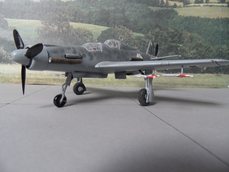 Dornier Do 335 A-6 "Ameisenbär"