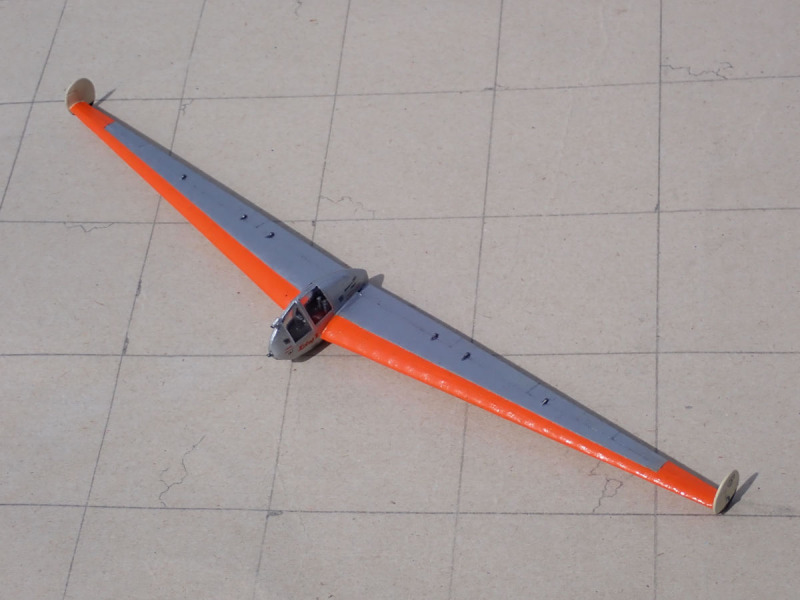 Naleszkiewicz JN-1 Zabus II