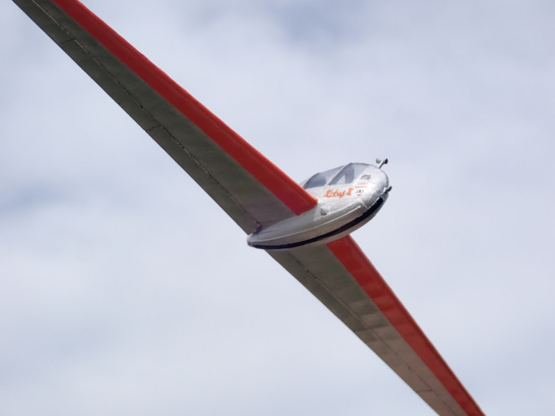 Naleszkiewicz JN-1 Zabus II