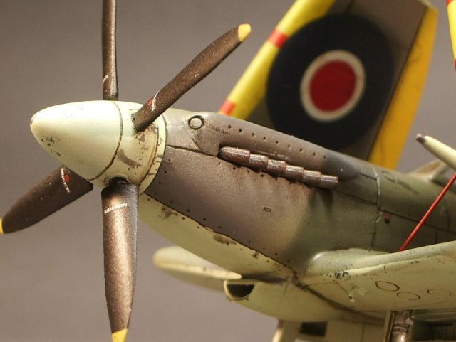Supermarine Seafire F Mk XVII