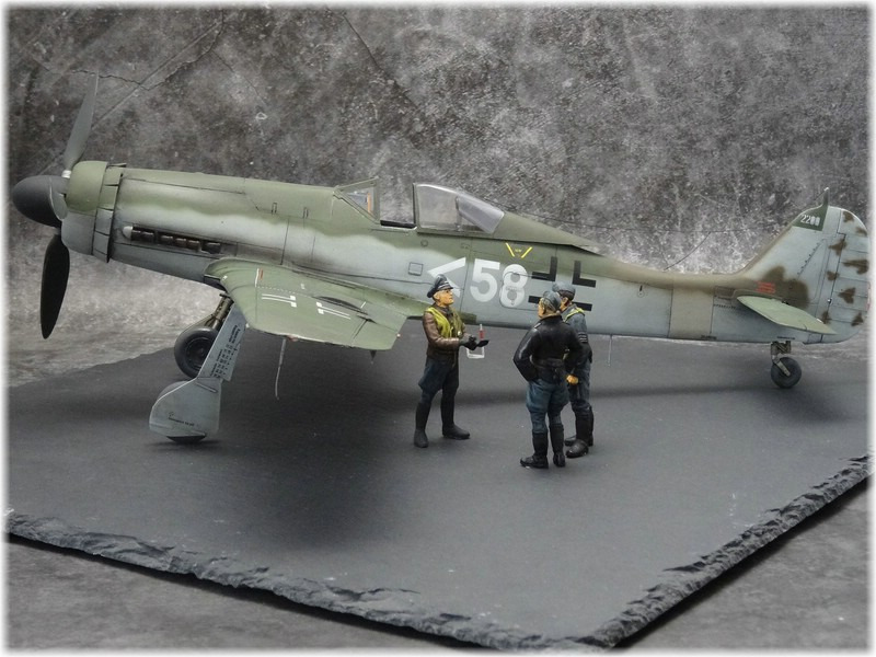 Focke-Wulf  Fw 190 D-11