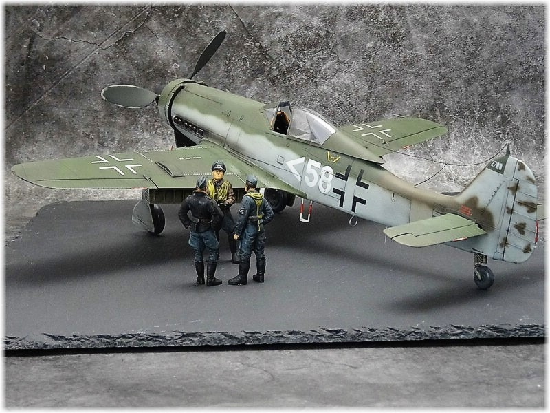 Focke-Wulf  Fw 190 D-11