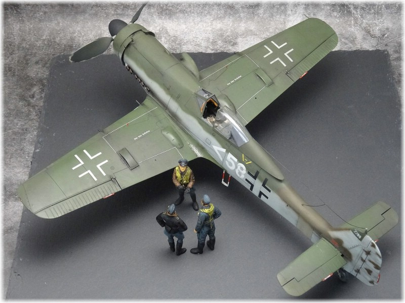 Focke-Wulf  Fw 190 D-11