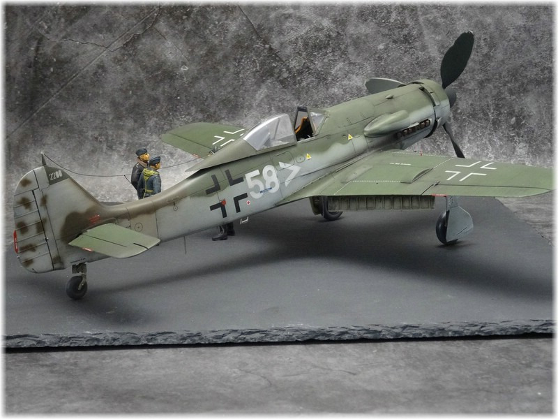 Focke-Wulf  Fw 190 D-11