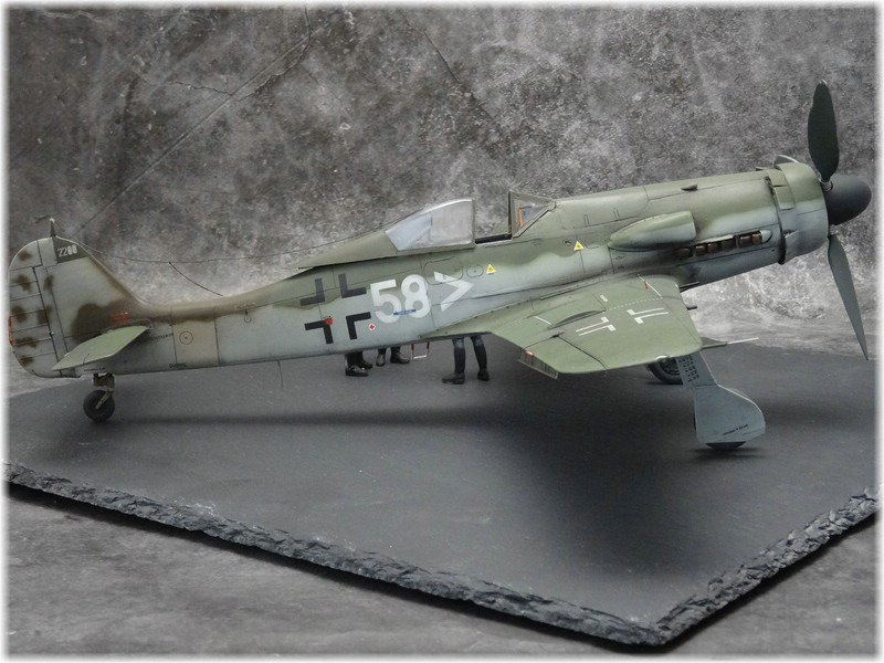 Focke-Wulf  Fw 190 D-11